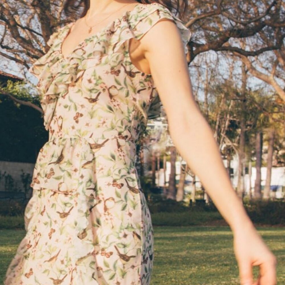 Senlis Pink Bird Print Ruffle Maxi Dress NEW! Sz XS